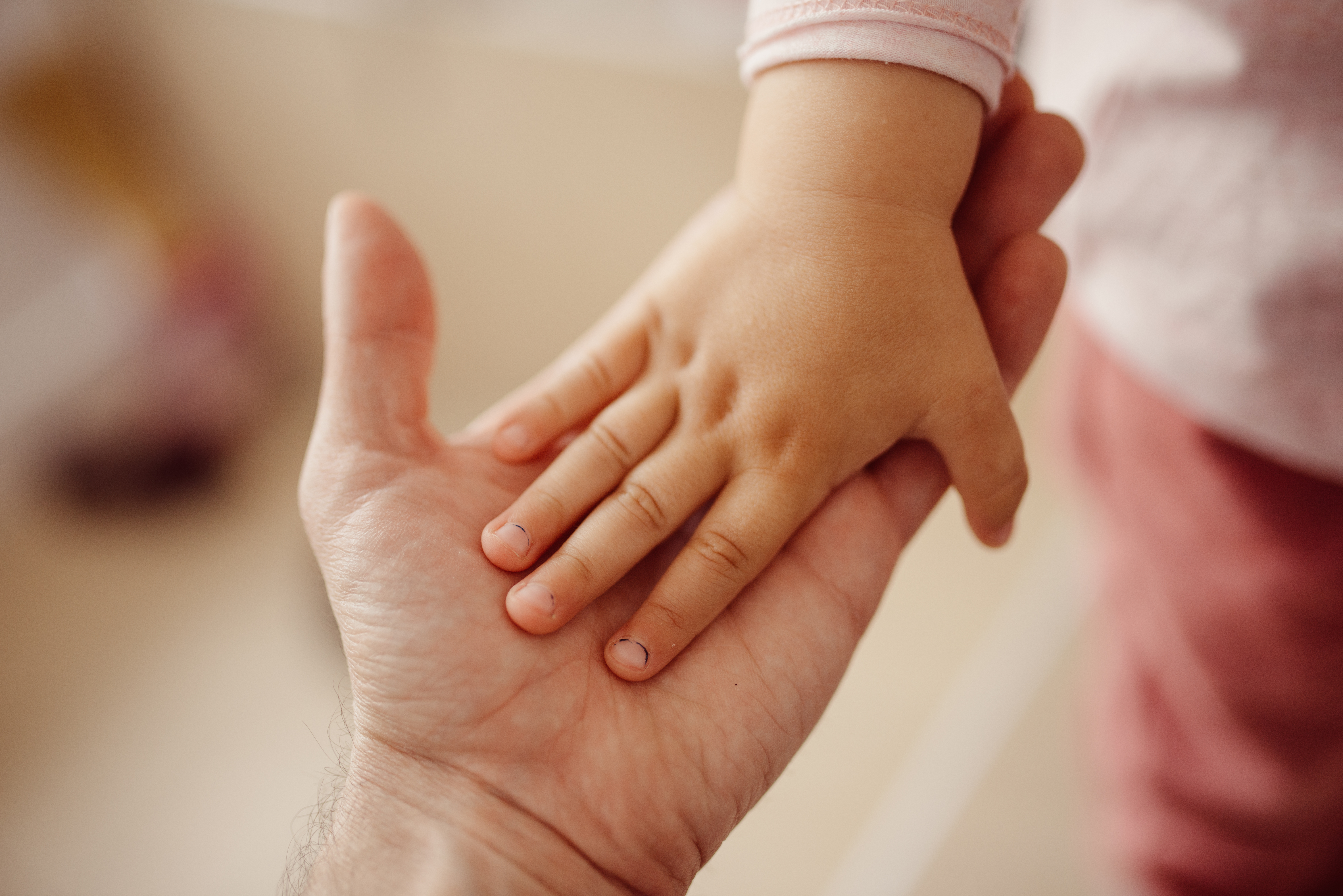 Illustrative image of a child's hand resting in an adult palm